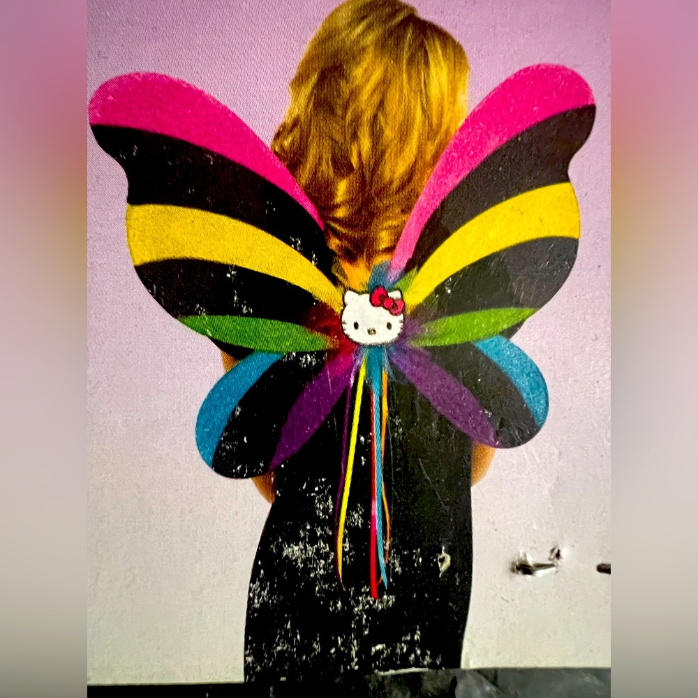 Hello kitty 🎀 wings
